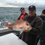 best snapper fishing charters sandringham