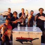 best snapper fishing charters mornington