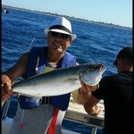 kingfish fishing charters mornington peninsula