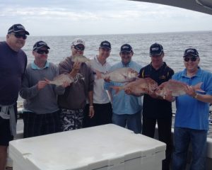 best snapper fishing charters
