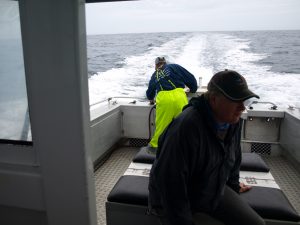 fishing trips portland marlin tuna