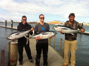 fishing charter portland blue fin tuna