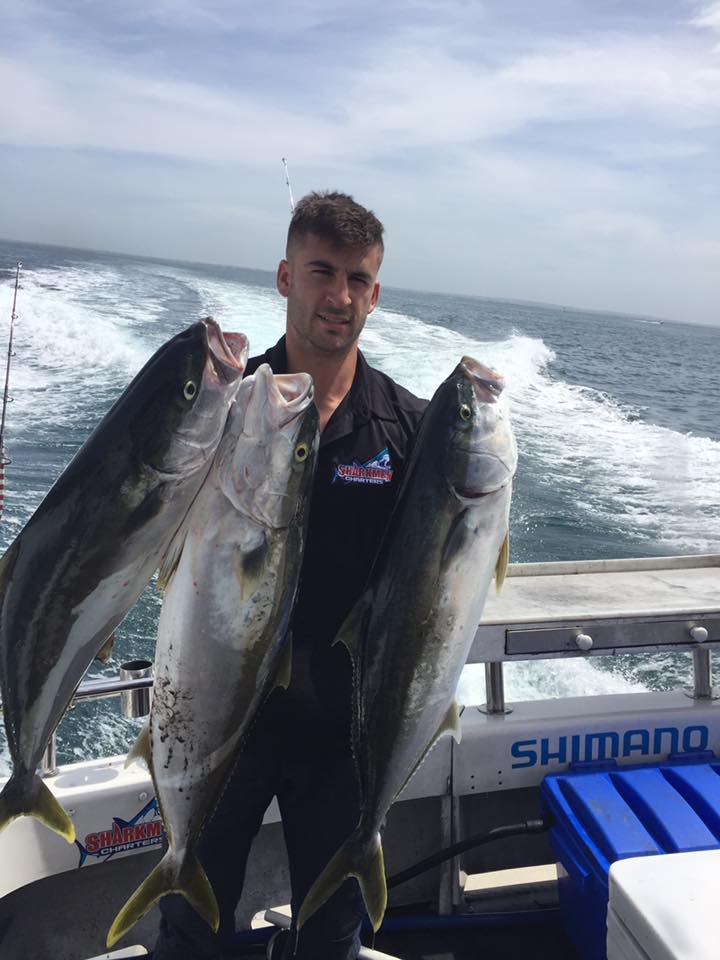 king-fish-charter-melbourne-sharkmen-fishing-charters