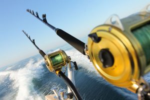 best tuna fishing charters portland