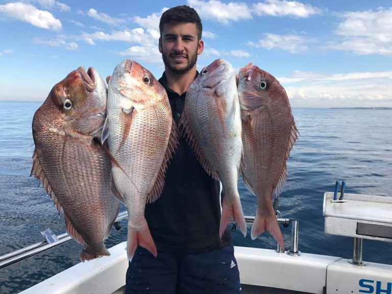 snapper fishing charters melbourne (2) SHARKMEN FISHING CHARTERS