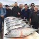 best tuna fishing trips portland